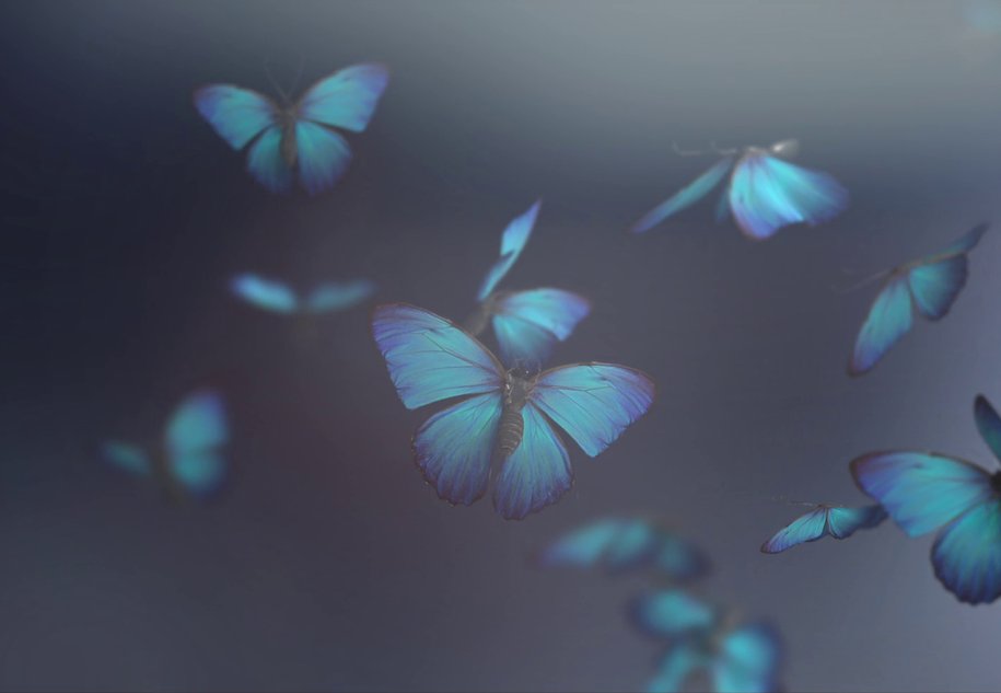 huawei p40 ai remove reflection photo After