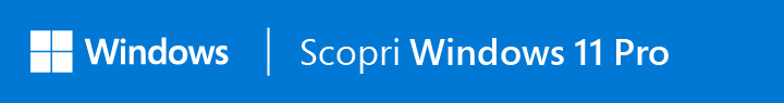 Windows 11 Pro