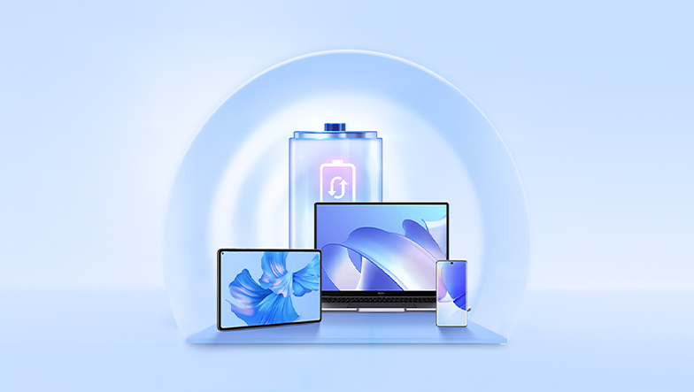 Officiële Batterijvervanging Service